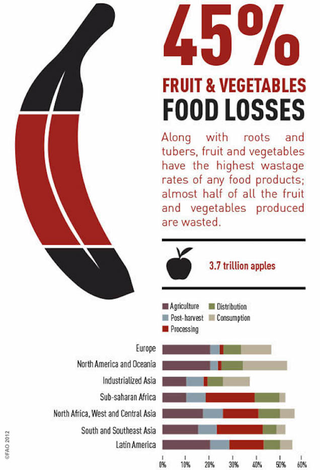 Illustration for article titled These Charts Show Which Foods Are Most Likely To Be Wasted